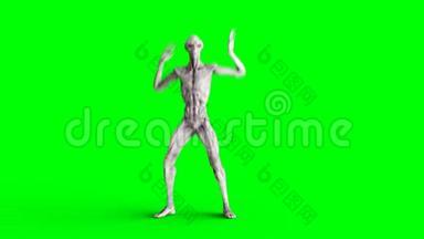有趣的外星人舞蹈。 现实运动和皮肤着色器。 4K绿屏镜头..